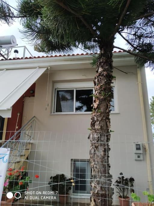 Grecos Apartment Preveza Exterior photo